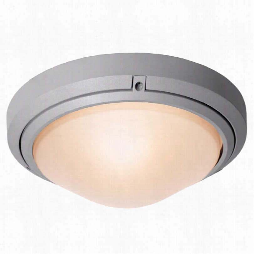Contemporary Oceanus Frosted Glass Admission Outdoor Ceiling/wall Light
