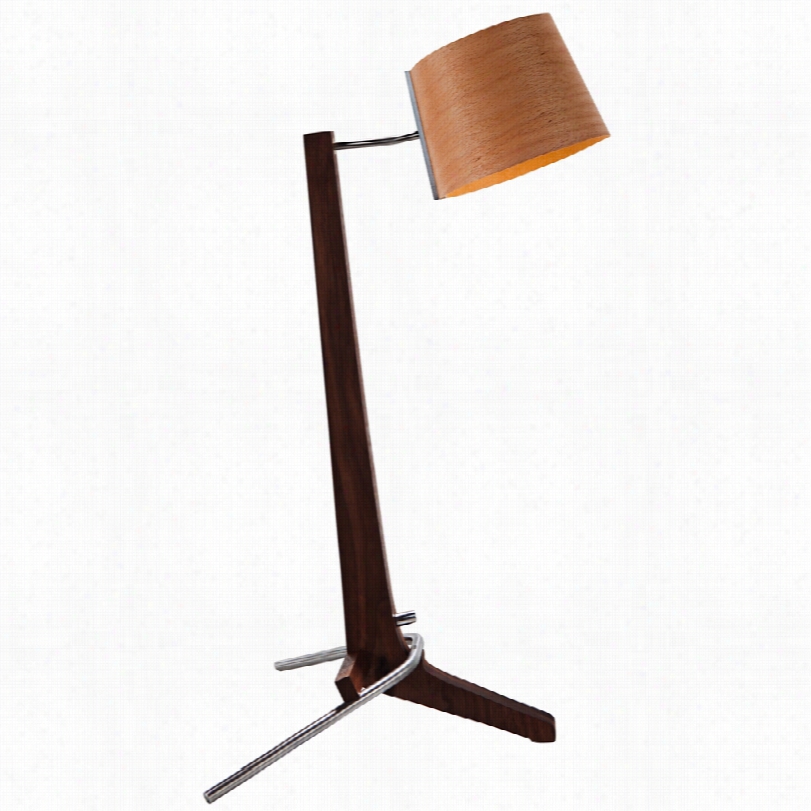 Contemporary Silva Black Walnut Beech 21 1/2-inch-h Cerno Table Laamp