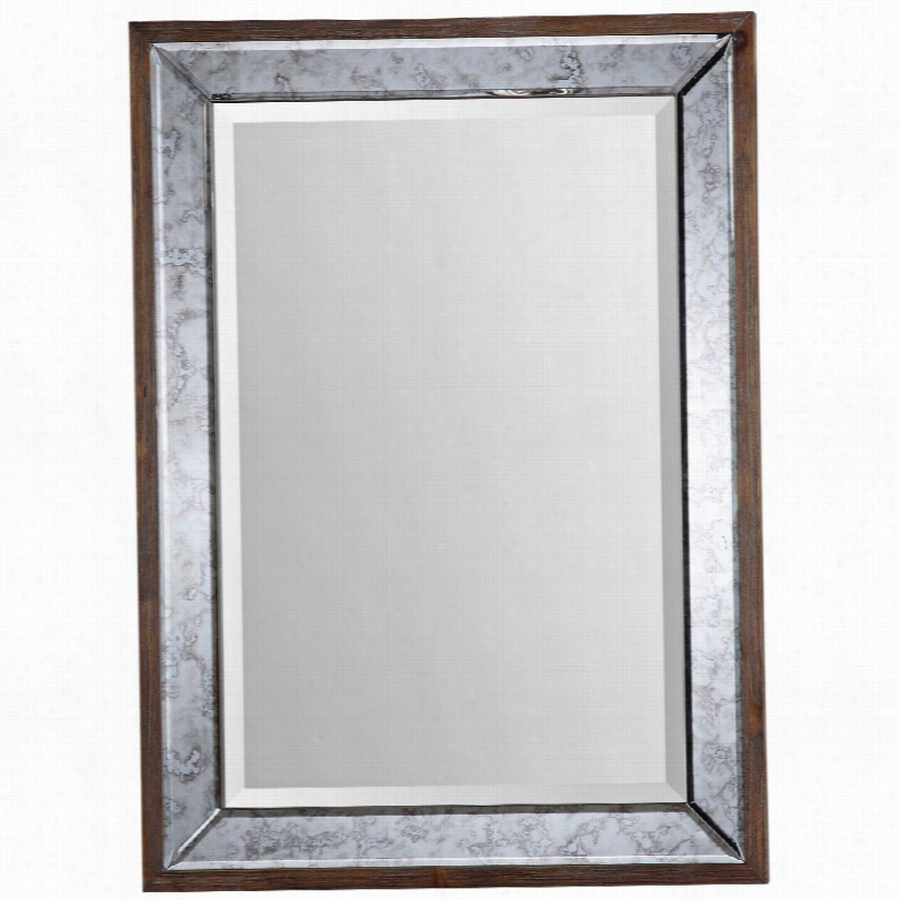 Conetmpirary Uttermost Daria Wod Rectangular Wall Mirror-27x37