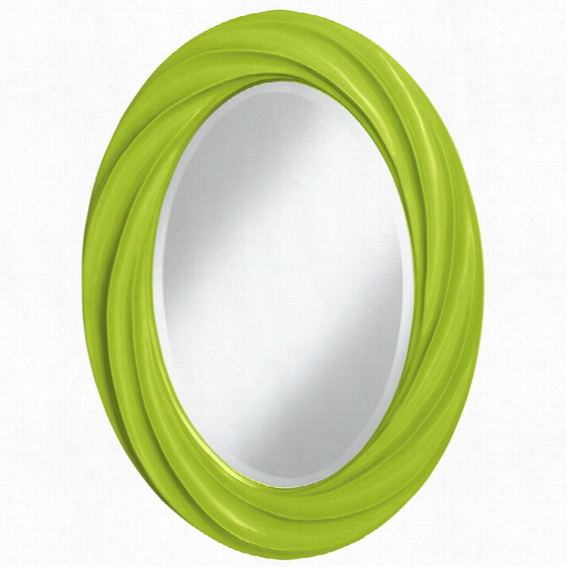 Contemporary Color Plus Tender Shoots Twist Oval Wall Mirror-22x30