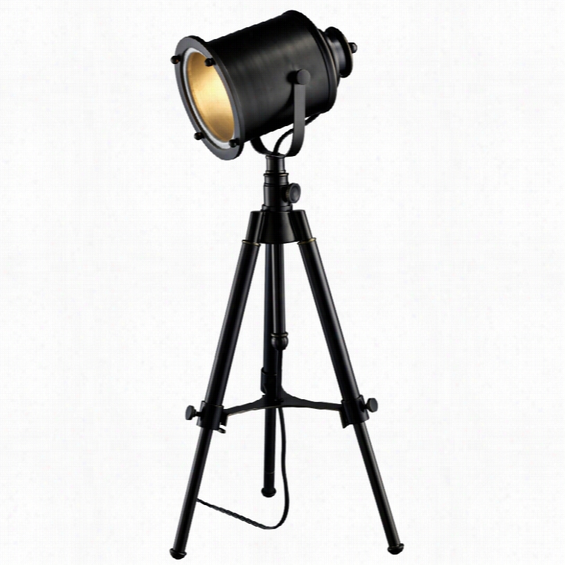 Contemporary Di Mond Ethan  Black With Metal Ghost Director's Desk Lamp