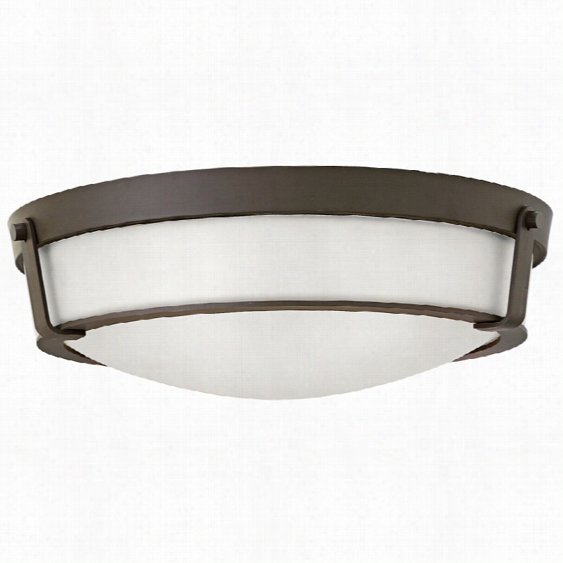 Contemporary Hinkley Hathaway 21 1/4"&"w Olde Bronze Ceiling Light