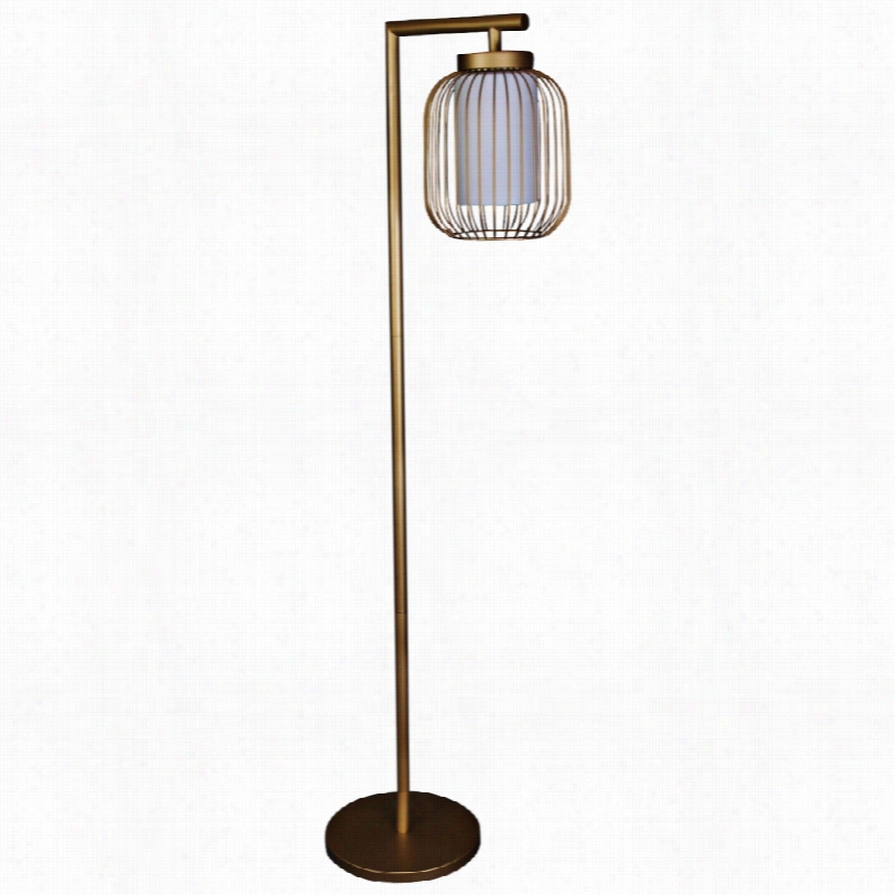 Contemp Orary Idalia Dull Gold Wire Cage Mettal 60-inch-h Floor Lamp