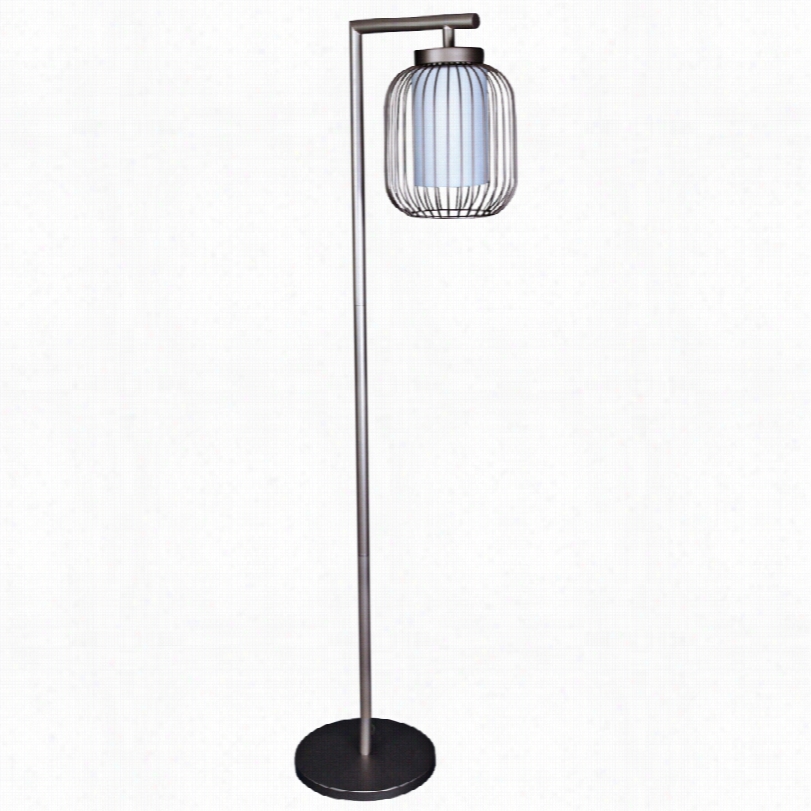 Contemporary Idalia Old Rion Wire Cage Metal 60-inch-h Floor Lamp