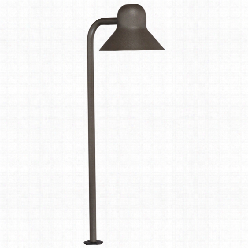 Contemporary Jayc E  Bronze With Solid Brass Led Landscape Road Light