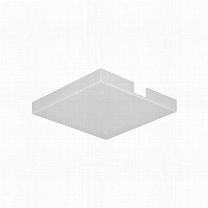 Contemporary Ou Tlet Box/t-bar Ceiling Feed