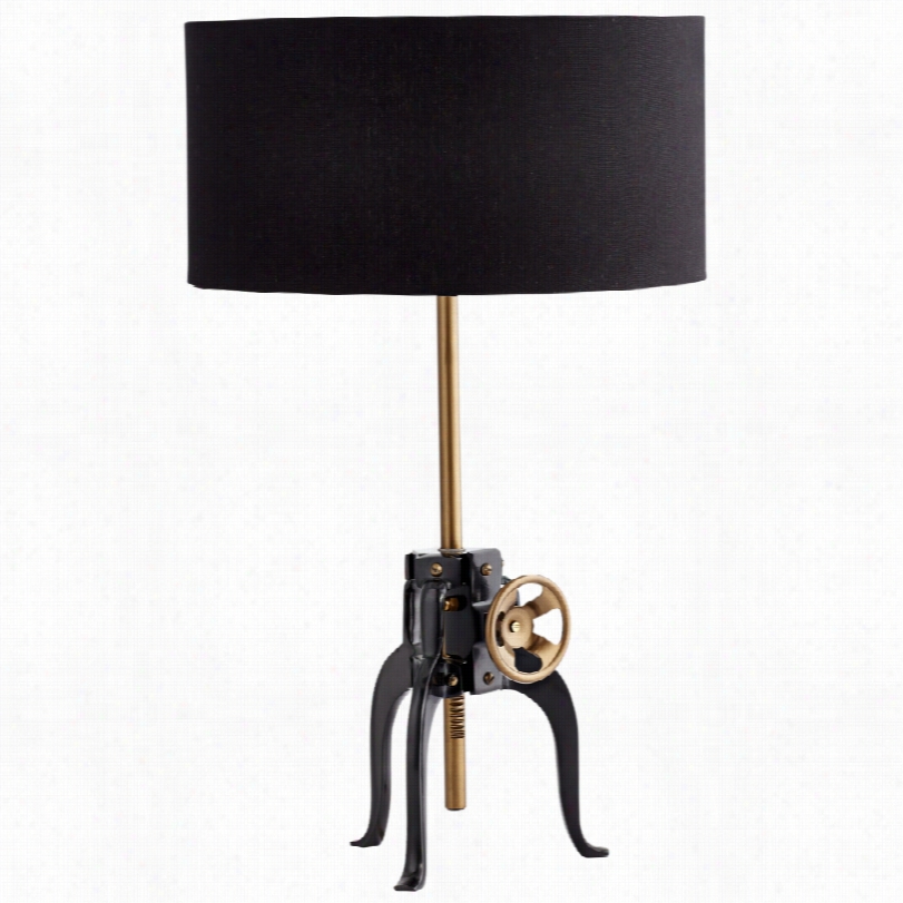 Contemporary Astra Inddustrial Black And Bronze Table  Lamp