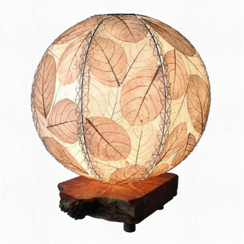 Contemporaary Eangee Drifftwood Natural Coca Leaves Orb Table Lamp