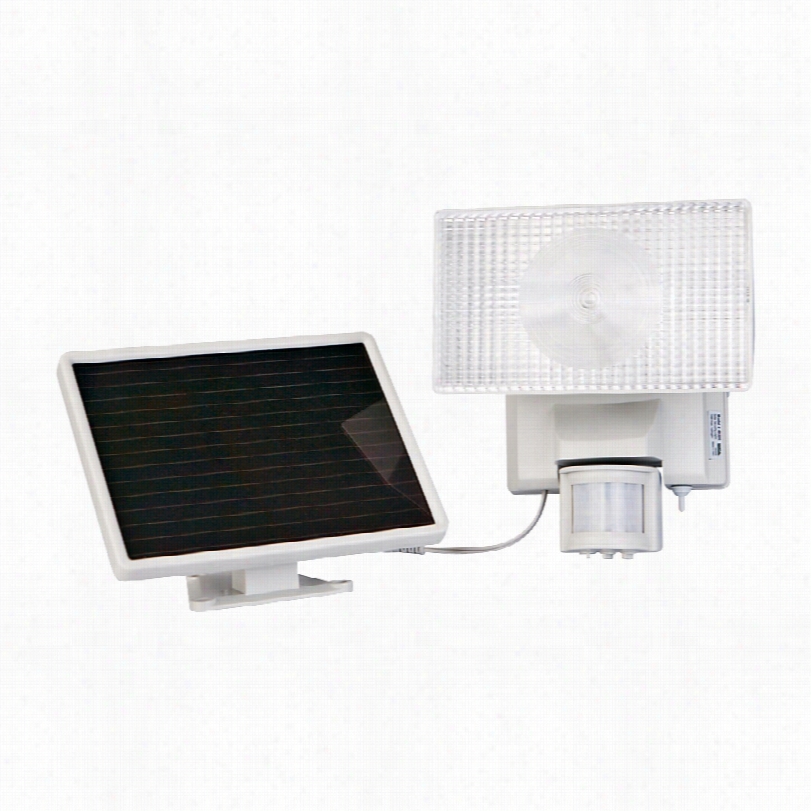 Contemporary Solar Power Motion Activated Halogen Security Floodkight