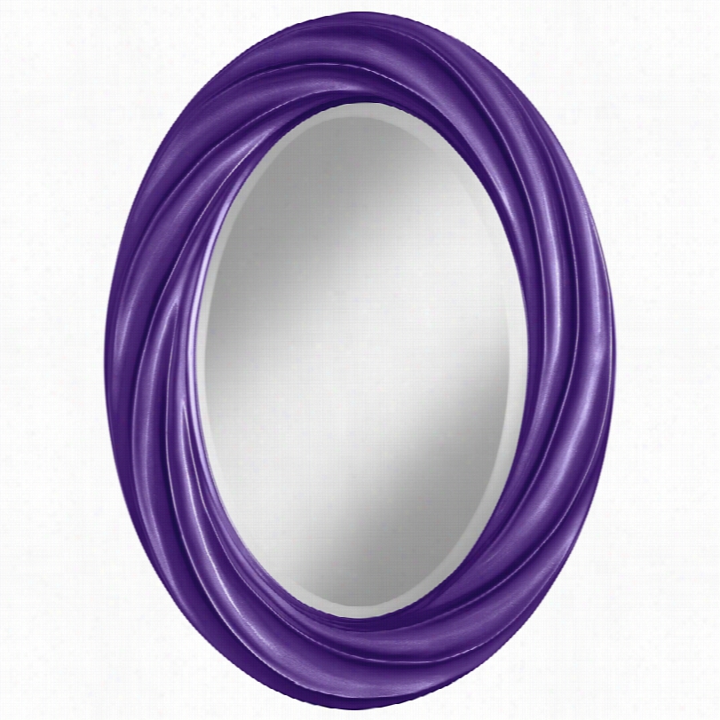 Contemporary Imperial Metallic Twist Oval Wall Mirror-22x30