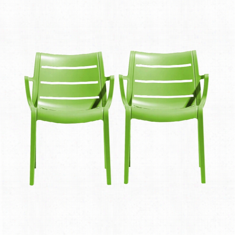 Contemporary Nero Light Green Indoor/outdoor Set Of 2 Armchairs