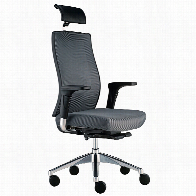 Contemporary Trina Gray 4-position 17--inch-w Office Chair