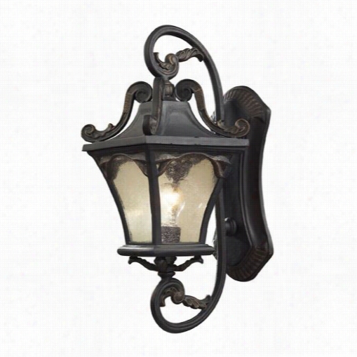 Moose Lighting 42041-1 Hamilton Park 23""h 1 Light Outdoor Wall Scnce In Weathered Charcoal And Seeded Glass