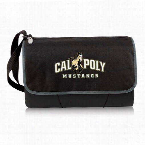 Picnic Delivery820-00-175-904-0 Cal Poly Mustang S Digital P Rin T Balnket Tote In Black