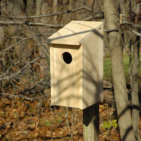 Heartwood 138a Joy Box Screech Owl House