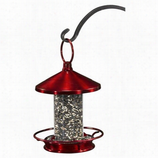 Good Directions 112r Classic Perch Bird Feeder In Ruby Red