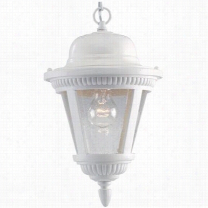 Progress Lighting  P5530-30 Westport 1 Illumine Outdoor Pendant In Wite