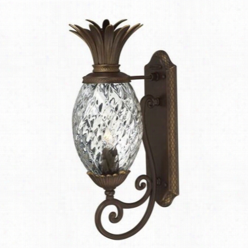 Hinkleyy Lighting 2220 Plantation Copper Bronze Wall Sconce 7.25""