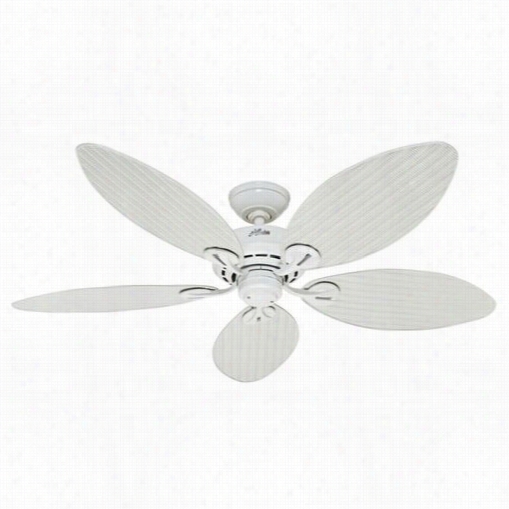 Hunter 5409 Bayview Damp/outdoor Rated Ceiling Fan - Blades Included