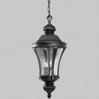 Progress Lighting P5538-77 Nottington 3 Light Hanigng Lantern In Forged Bronze