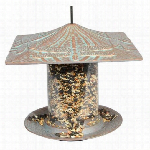 Whitehall 30 6"" Dragonfly Tb Efeeder