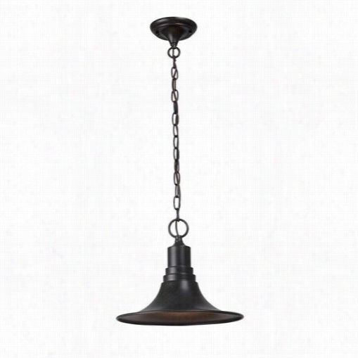 World Imports Wi909589 Dark Sky Kingston 1 Light Outdoor Pendant Light In Bronze