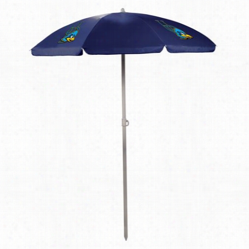 Piicnic Time 822-00 University Of Delawaee Blue Hens Digitall Print Umbrella