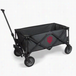 Pcinic Time 739-00-679-6740 Adventure Indiana University Hoosiers Digital  Print Wagon In Dark Grey/black