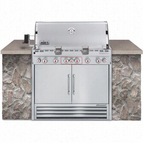 Weber 7360001 Summit S-660 Built-in Liquid Propane Aeriform Fluid Grill