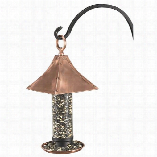 Good Directions T01b Paaazzo Medium Bird Ffeeder In Copper