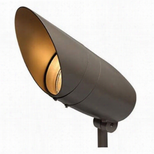 Hinkley Lighting 55000bz Large Bronze Spot Light With Removable Lens Line Voltage