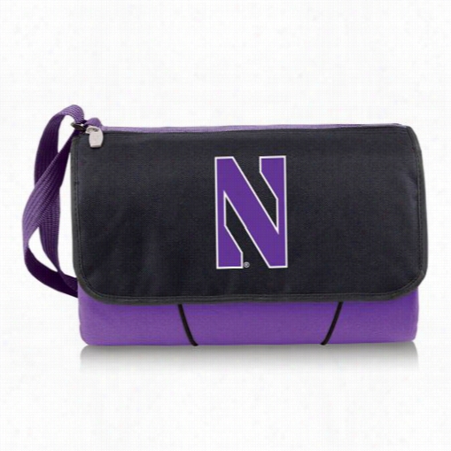 Picnnic Time 820-00-101-434-0 Northwestern Universify Wildcats Digital Pfint Blanket Tote  In Purple