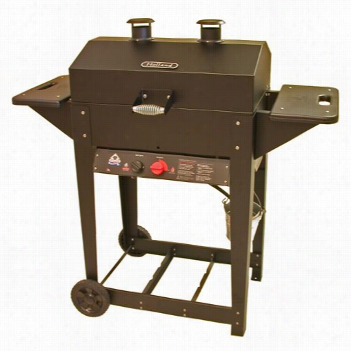 The Holland Grill Hgg421900 Liberty Propane Gas Grill