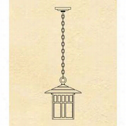 Hanover Lantern B28620 Large Indian Wells 1 Kindle Outdoor Hanging Lantern