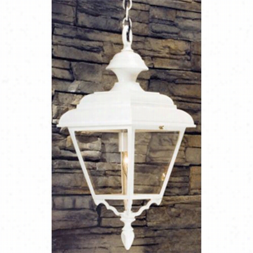 Hanover Lantern B9966 Large F0ur Sided Value Line 100w 1 Light Outdoro  Hanging Lantern