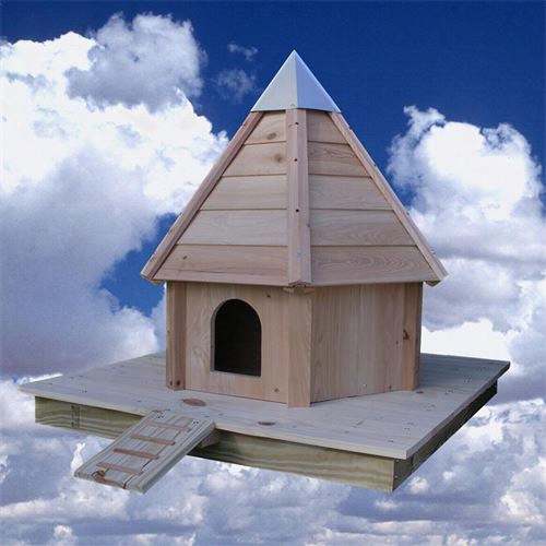 Heartwood 160 Aquaduck Bird House