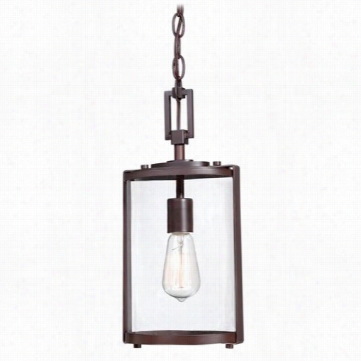 The Greqt Outdoors 73064-246 Ladera 1 Light Oudtoor Chain Hung Lantern In Alder Bdonzse