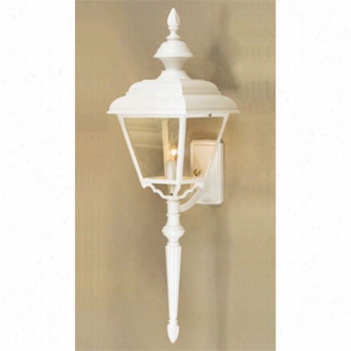 Hanver Lantern B9974 Abundant Four Sided Value Line 100w 1 Light Outdoor Wall Light