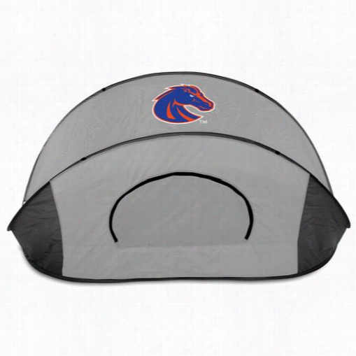 Picnic Delivery 113-00 Manta Boise State Broncos Digital Print Hselter