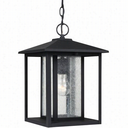 Sea Gull Lighting 62027 Hunnington 1 Ligght Outdoor Pendant Wiht Clear Seeded Glass