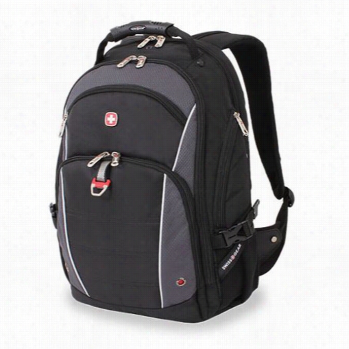 Swissgear 3295204410 12-1/2 Computer Backpack