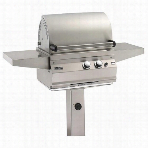 Firemagic 21-s1s1-g6 Deluxe In Ground Post Mount Barbecue