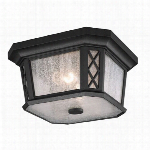 Feiss Ol951 3txb Wemble Park 2 Light Outdoor Flush Mount In Textured Black