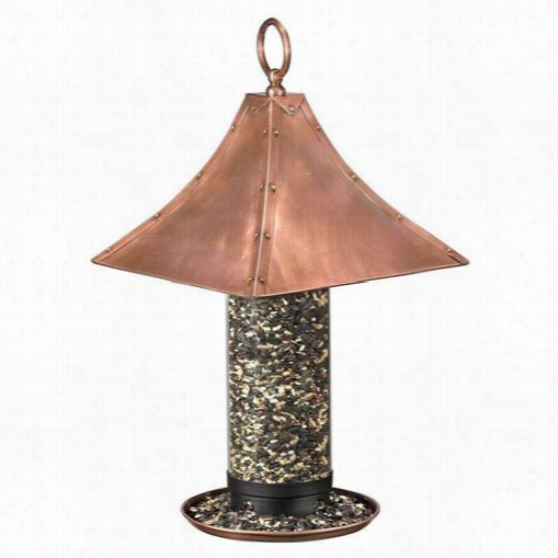 Good Directions T02b Palazzo Large Bird Feeder In Copper