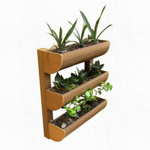 Dc America Cg-wp-200724-t Cty Garden Chem Wood Mini Wall Planter 3 Planting Containers