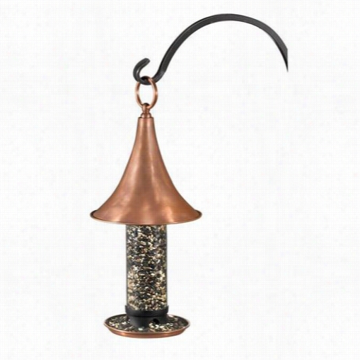 Good Dirextiobs T03b Castella Medium Bird Feeder In  Copper