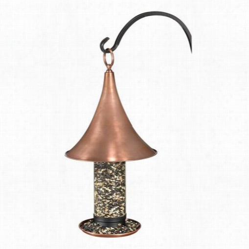 Good Directions T04b Castella Large Brid Feeder In Copper