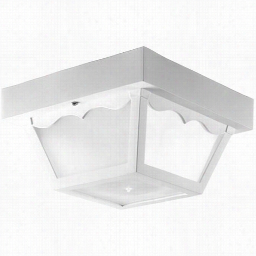 Progress Lighting P7240 Non-metallic 1 Light Outdoor Flush Mount