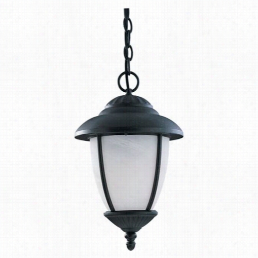 Sea Gull Lighting 69248pble-12 Yorkt Owwn 1 Light Outdoor Pendant In Black