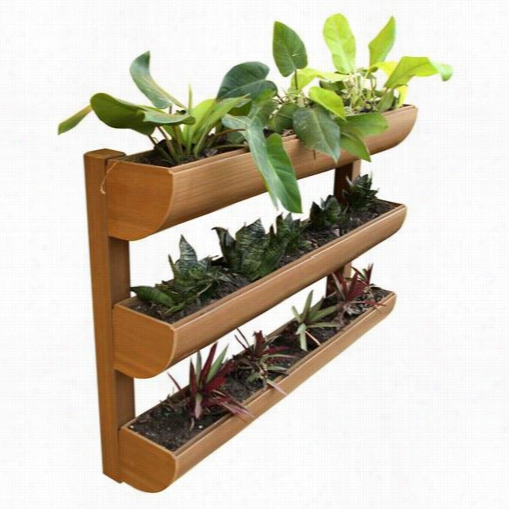 Dc America Cg-wp-360724-t City Garden Chem Wood Wall Planter 3 Planting Containers